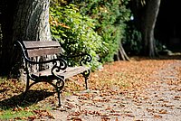 Parkbank im Herbst mit viel Laub drumherum in einem Park.